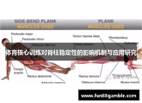 体育核心训练对脊柱稳定性的影响机制与应用研究
