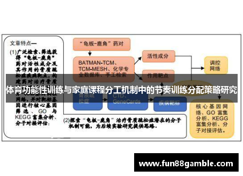 体育功能性训练与家庭课程分工机制中的节奏训练分配策略研究