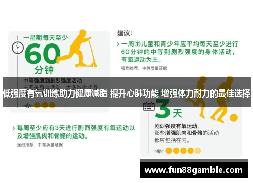 低强度有氧训练助力健康减脂 提升心肺功能 增强体力耐力的最佳选择