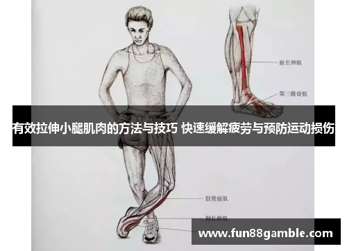 有效拉伸小腿肌肉的方法与技巧 快速缓解疲劳与预防运动损伤