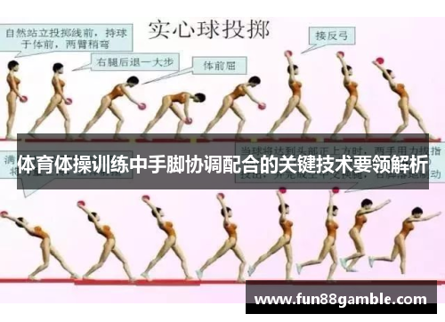 体育体操训练中手脚协调配合的关键技术要领解析