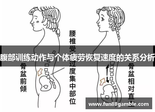 腹部训练动作与个体疲劳恢复速度的关系分析